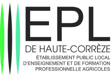 Offres d'emploi
